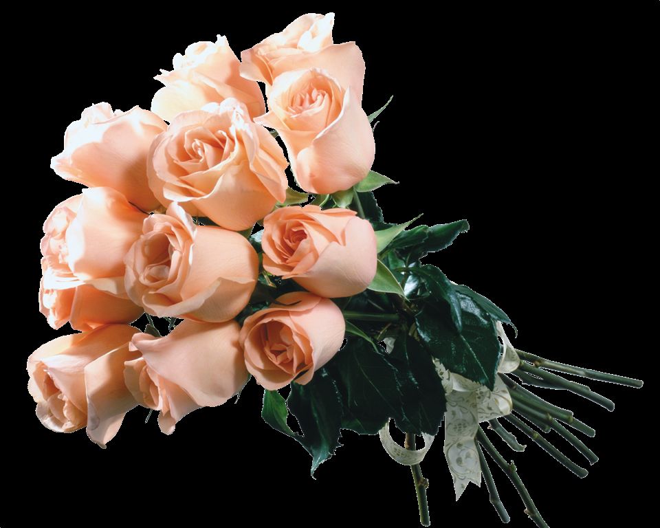 Я сказал как то очаровательной женщине. Шикарные цветы. Самые красивые цветы для женщины. Букет роз прекрасной даме. Цветы для роскошной женщины.