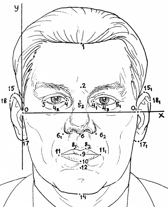 Главные точки в изображении. Антропометрические точки габитоскопия. Антропометрические точки лица в габитоскопии. Судебно-Портретная экспертиза криминалистика. Ширина переносицы криминалистика.